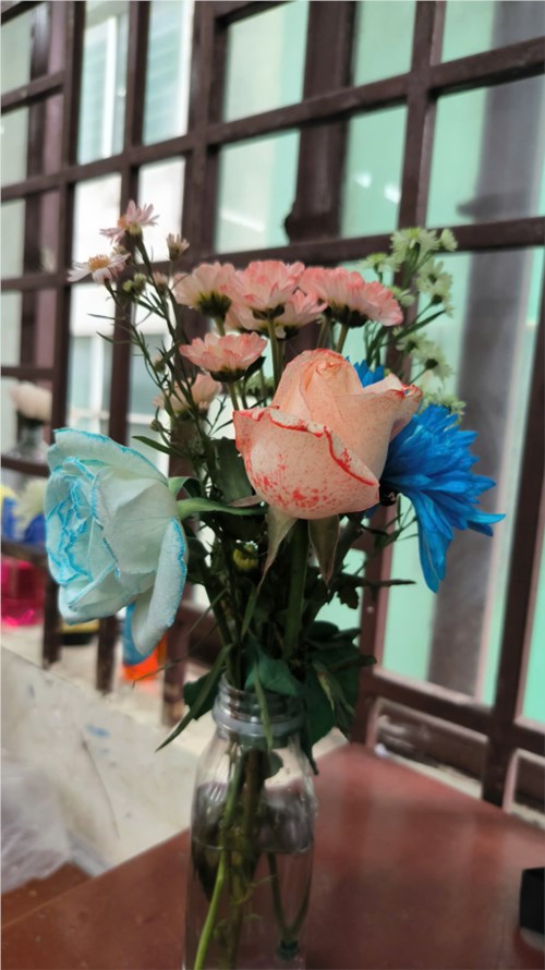 [KHTN 7] Thực hành chứng minh thân vận chuyển nước
